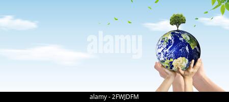 Hände halten Erdkugel und wachsenden Baum über Himmel Hintergrund. Umwelt, sparen sauberen Planeten, Ökologie-Konzept. . Earth Day-Banner mit Kopierbereich Stockfoto