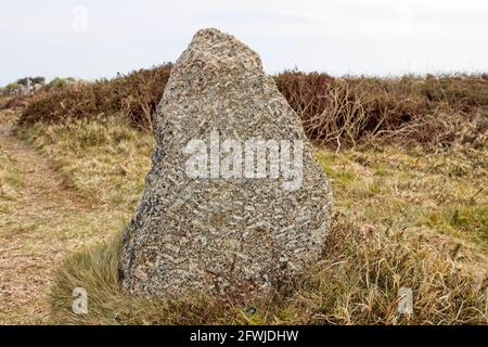 Einer der stehenden Steine, aus denen der Tregeseal Stone Circle, West Cornwall, England, Großbritannien, besteht. Stockfoto