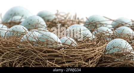 Eier in einem Nest isoliert auf weißer 3d-Abbildung Stockfoto