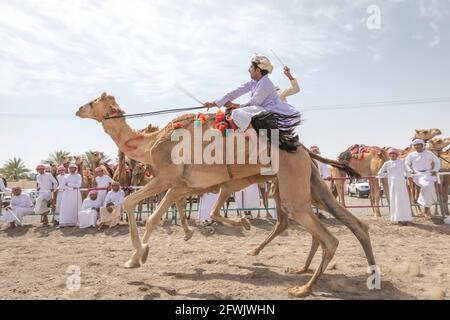 Khadal, Oman, 28. April 2018: omanische Männer in traditioneller Kleidung, reiten auf ihren Kamelen Stockfoto