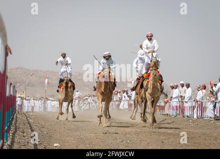 Khadal, Oman, 28. April 2018: omanische Männer in traditioneller Kleidung, reiten auf ihren Kamelen Stockfoto