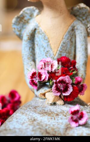 Die keramische Figur eines Engels enthält eine beliebte duftende zweijährige Gartenpflanze, Sweet William oder Dianthus barbatus. Selektiver Fokus, Nahaufnahme. Stockfoto