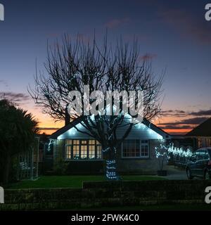 Eine Ansicht von der Vorderseite mit blauen Weihnachtslichtern in den Dachübersprüngen Eines Bungalowhauses und hängend in Baum-Silhousette Mit Sonnenuntergang am blauen Himmel als Hintergrund Stockfoto