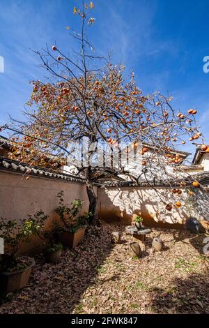 Dali bai Minderheit autonome Präfektur der provinz yunnan shaxi Stadt Straßen des Bezirks Jianchuan Stockfoto
