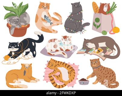 Katzen. Süße flauschige Kätzchen, die mit Garn oder Spielzeug spielt, im Bett schläft, im Pflanztopf sitzt. Cartoon spielerisch Haustier Tier Charakter Vektor-Set. Reinrassige Kätzchen in verschiedenen Posen mit Fisch, Maus Stock Vektor