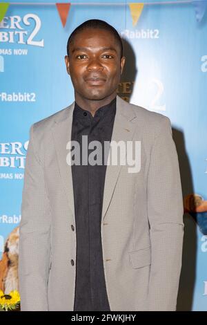 London, Großbritannien. Mai 2021. David Oyelowo nimmt an der britischen Gala-Vorführung von „Peter Rabbit 2: The Runaway“ im Picturehaus Central in Piccadilly Teil. Kredit: SOPA Images Limited/Alamy Live Nachrichten Stockfoto