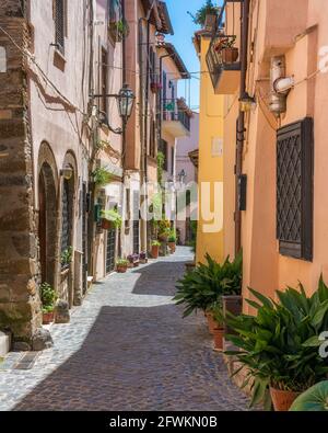 Landschaftlich reizvoller Anblick in Trevignano Romano, mit Blick auf den Bracciano-See. Provinz Rom, Latium, Italien. Stockfoto