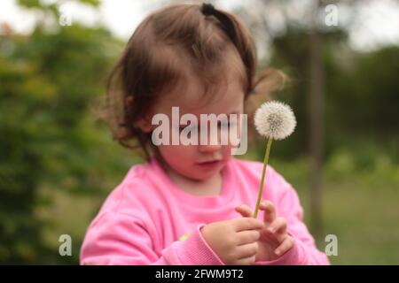 Ein kleines weißes Kind hält einen Dandelion in seinen Händen Während Sie auf einem Hintergrund von verschwommenem Grün stehen Stockfoto