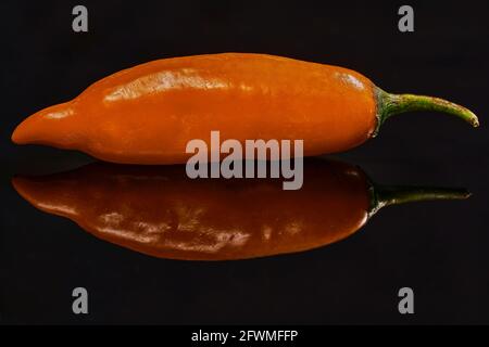 Peruanische Chili, das wahre Geheimnis seiner Küche Stockfoto