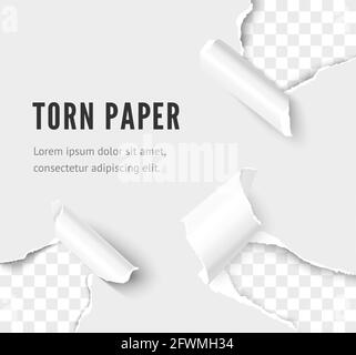 Zerrissenes Papier. Löcher Ecke des weißen Papierblatts. Realistischer Vektor-RIP-Papiereffekt Stock Vektor