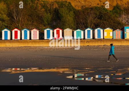 England, Isle of Wight, Shanklin Beach, Bunte Strandhütten und Klippen Stockfoto