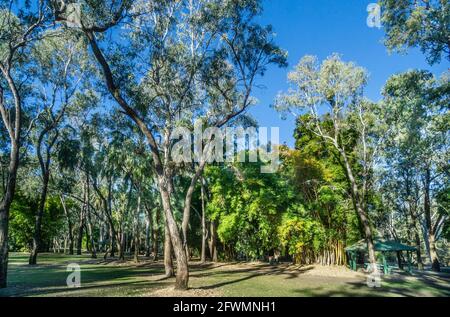 Botanische Gärten Von Emerald, Emerald, Central Highlands Region, Queensland, Australien Stockfoto