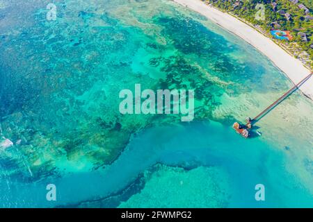 Luftaufnahme von Palmen am Sandstrand von Indian Meer bei Sonnenschein Stockfoto