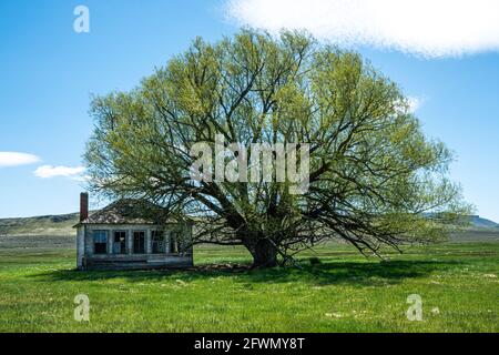 Altes Schulhaus in der Nähe von Jordan Valley, Oregon im späten Winter Stockfoto