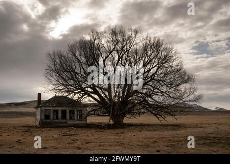 Altes Schulhaus in der Nähe von Jordan Valley, Oregon im späten Winter Stockfoto