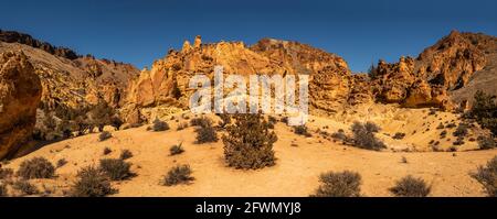 Panoramabild des „Amphitheaters“ entlang des Leslie Gulch Juniper Trail. Stockfoto