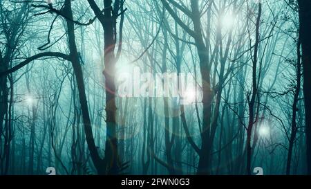UFO-Konzept. Glühende Lichtkugeln, die durch einen gespenstischen Wald schweben. An einem stimmungsvollen Winterabend. Stockfoto