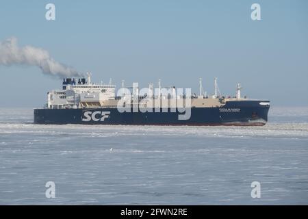 Sabetta, Region Tyumen, Russland - 30. März 2021: Der Gasversorger Christophe De Margerie schwimmt auf dem Eis. Stockfoto