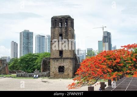 Kathedrale Turm von Panama Viejo Stockfoto