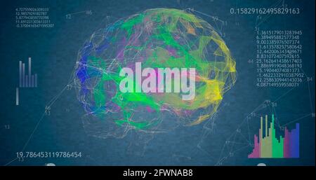 Rotierendes 3D-Modell mit 360 niederpolygonalen Gehirnzellen auf blauem Hintergrund mit animierten Zahlen und Diagrammen. Stockfoto