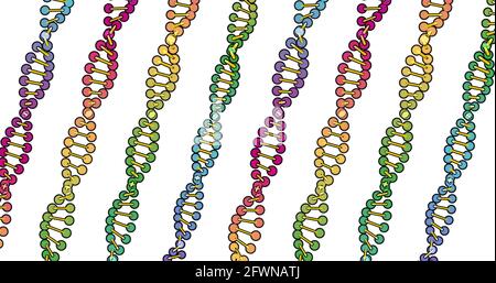 Farbvisualisierung der DNA-Analyse isoliert auf weißem Hintergrund 3d-Rotationsanimation, für Montage und medizinisches Training Stockfoto