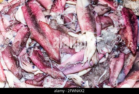 Calamari oder Tintenfisch auf dem Fischmarkt Stockfoto