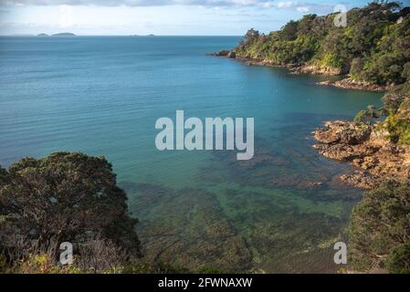 Waiheke Island, Neuseeland. Blick auf die Küstenlandschaft am Nachmittag Stockfoto