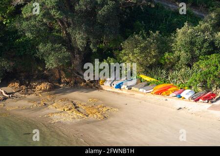 Waiheke Island, Neuseeland. Jollen warten am Sandstrand untätig. Stockfoto