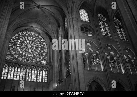 Paris, Frankreich 2016. Das Innere von Notre Dame vor dem Feuer Stockfoto