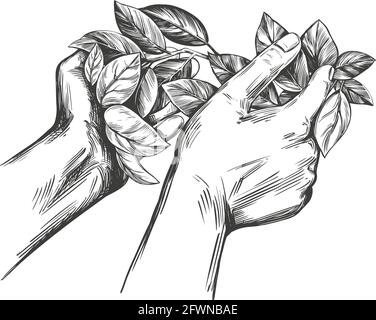 Auszeichnung, Lorbeerkranz in den Händen, handgezeichnete Vektorgrafik realistische Skizze. Stock Vektor