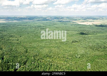 Ländliche Landschaft mit grünem Wald und landwirtschaftlichen Feldern am Horizont. Luftdrohne Foto Stockfoto