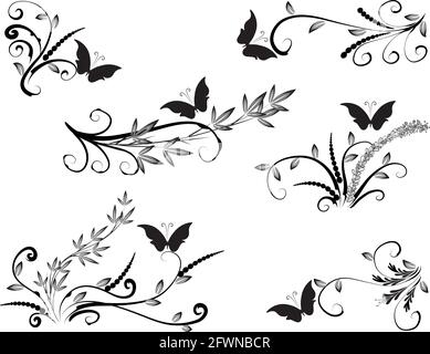 Kalligrafische Dekorationselemente mit Linien und Blatt und Blumen Schmetterling Stockfoto