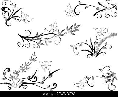 Kalligrafische Dekorationselemente mit Linien und Blatt und Blumen Schmetterling Stockfoto