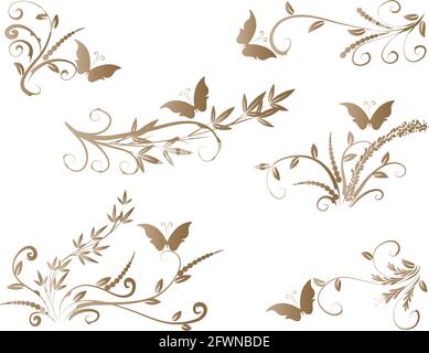 Kalligrafische Dekorationselemente mit Linien und Blatt und Blumen Schmetterling Stockfoto