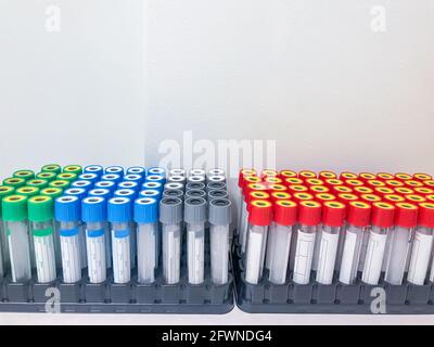 Medizinische Forschung in einem Krankenhauslabor. Medizinische Geräte. Bluttest Stockfoto