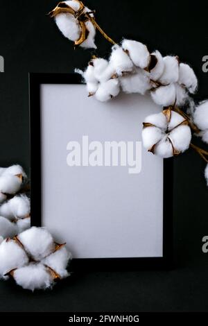 Imitierte getrocknete Baumwollblumen und einen weißen Rahmen auf einem gemütlichen schwarzen Hintergrund. Flach liegend. Speicherplatz kopieren. Bilderrahmen mit leerem Raum Stockfoto