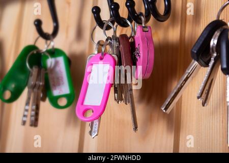 Pinkfarbener Schlüsselanhänger mit Kopierraum und Schlüsseln an Haken im Flur. Holzwand als Hintergrund. Viele andere Schlüsselanhänger herum. Geringe Schärfentiefe. Stockfoto