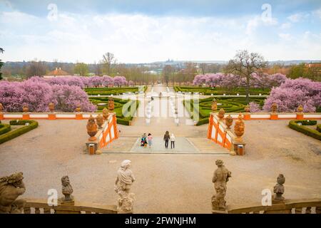 Prag, Tschechische republik - 18.04.2021: Burg Troja und blühende Kirschbäume in Prag, Tschechische republik, Zentralansicht Stockfoto