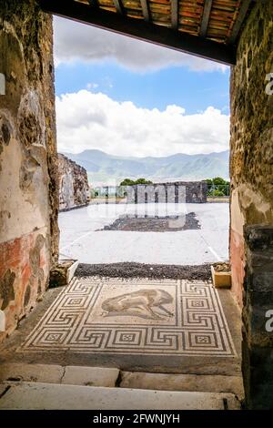 Wildschweinhaus (Casa del Cinghiale) - archäologische Stätte von Pompeji, Italien Stockfoto