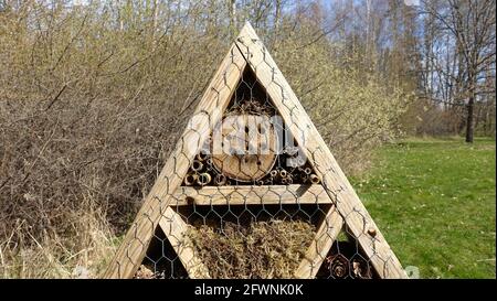 Insektenhotel. Holzstruktur mit natürlichem Material gefüllt bereit, Insekten während des Frühlings willkommen. Stockfoto