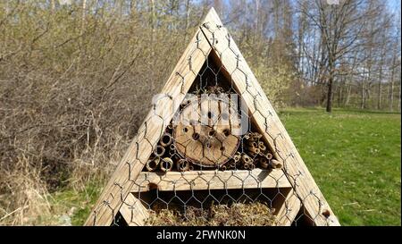 Insektenhotel. Holzstruktur mit natürlichem Material gefüllt bereit, Insekten während des Frühlings willkommen. Stockfoto