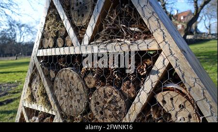 Insektenhotel. Holzstruktur mit natürlichem Material gefüllt bereit, Insekten während des Frühlings willkommen. Stockfoto