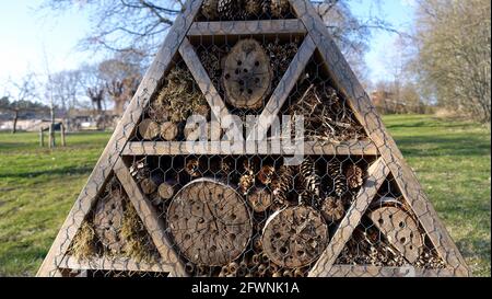 Insektenhotel. Holzstruktur mit natürlichem Material gefüllt bereit, Insekten während des Frühlings willkommen. Stockfoto