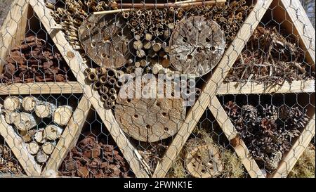 Insektenhotel. Holzstruktur mit natürlichem Material gefüllt bereit, Insekten während des Frühlings willkommen. Stockfoto