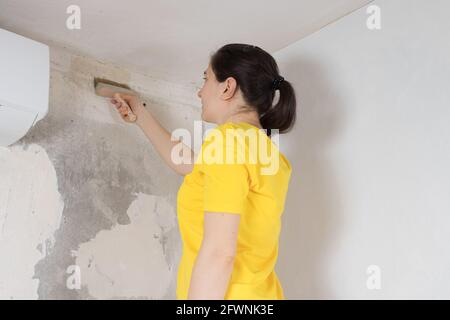 Eine Frau schmiert die Wand mit Klebstoff. Kleben Tapete in das Haus selbst Stockfoto