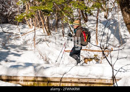 Wandern mit den Schneeschuhen den Jizo-Pass entlang der alten Hida-Autobahn über Kiso-Fukishima, Präfektur Nagano, Japan. Stockfoto