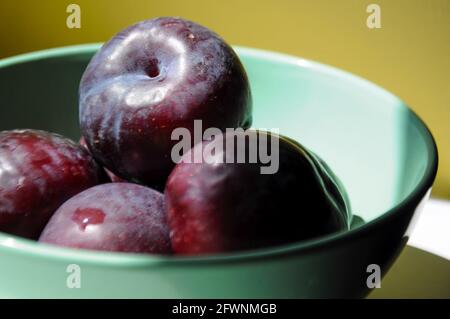 Nahaufnahme einer frischen, reifen Pflaume in einer pastellgrünen Schale auf gelbem Hintergrund Stockfoto