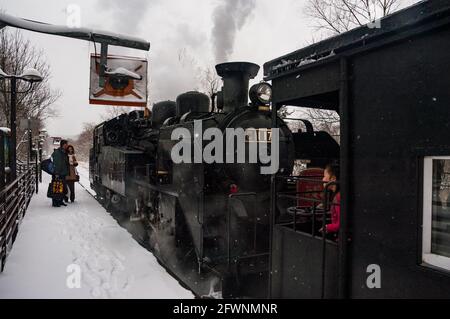 Japanische Dampflokomotive in Hokkaido Winter mit Klasse C11 Tank besonders am Bahnhof Kushiro-Shitsugen Stockfoto