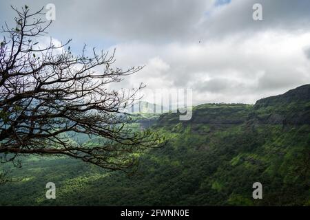 Wunderschöne Bäume, Hügel und Täler, wie man sie bei Malshej Ghat in Maharashtra, Indien, sieht Stockfoto