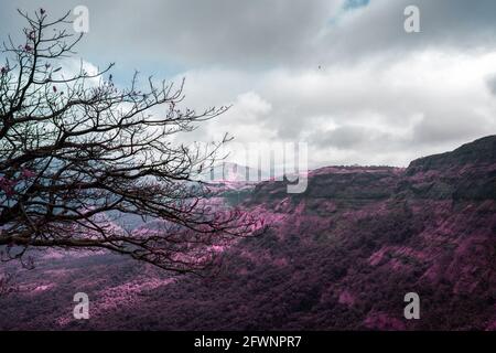 Schöne Infrarotlandschaft der grünen Hügel und Täler bei Malshej Ghat in Maharashtra, Indien Stockfoto